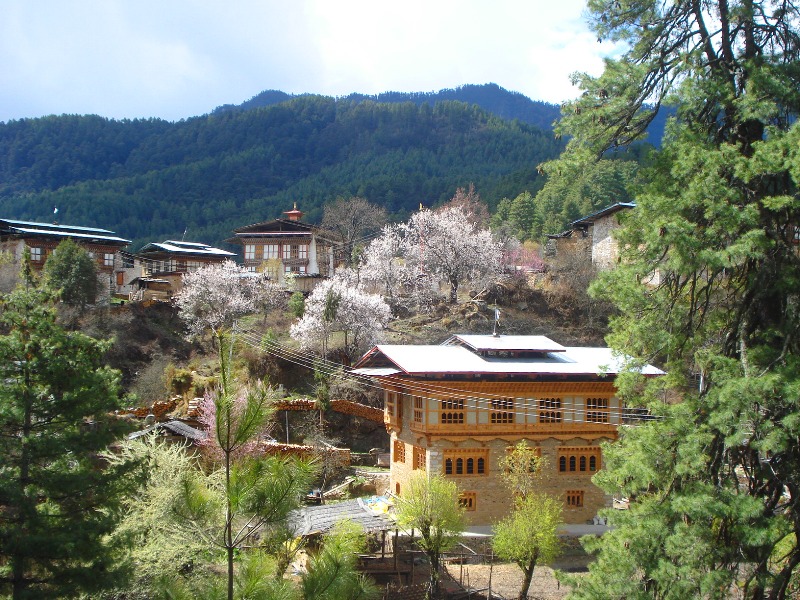 Бутан, BUMTHANG
