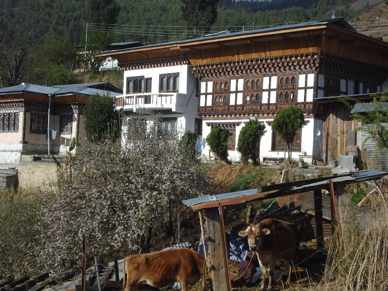 Бутан, PARO
