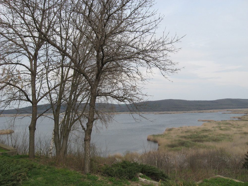 река Дунав, Сребърна
