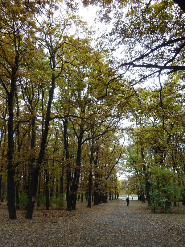 България, парк Борисова градина

