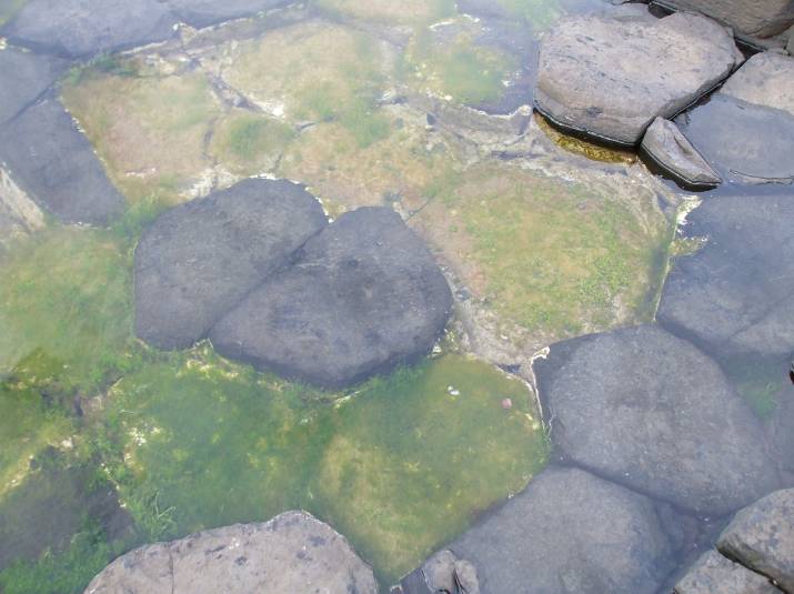 Ирландия, Каменният хълм се спуска към океана и продължава под водата
