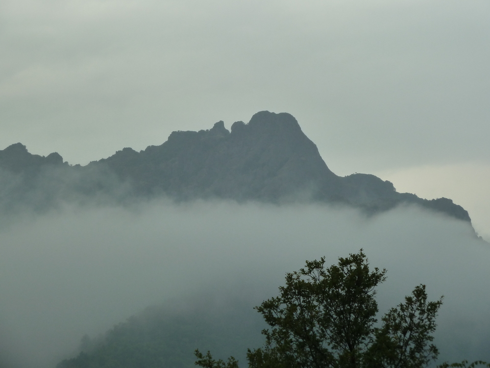 България, Мъгла
