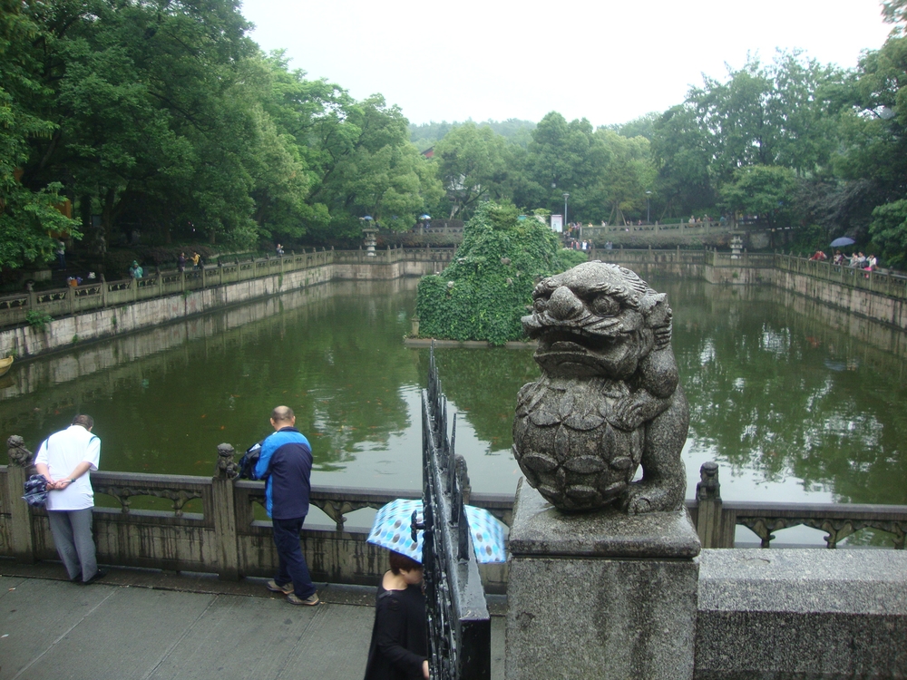 Китай, Ханджоу, Паркът Западно езеро, Тук се пускат на свобода водните домашни любимци
