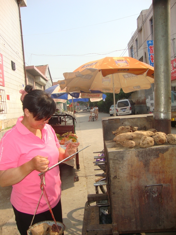 Китай, Пънлай, Така се теглят сладките картофи
