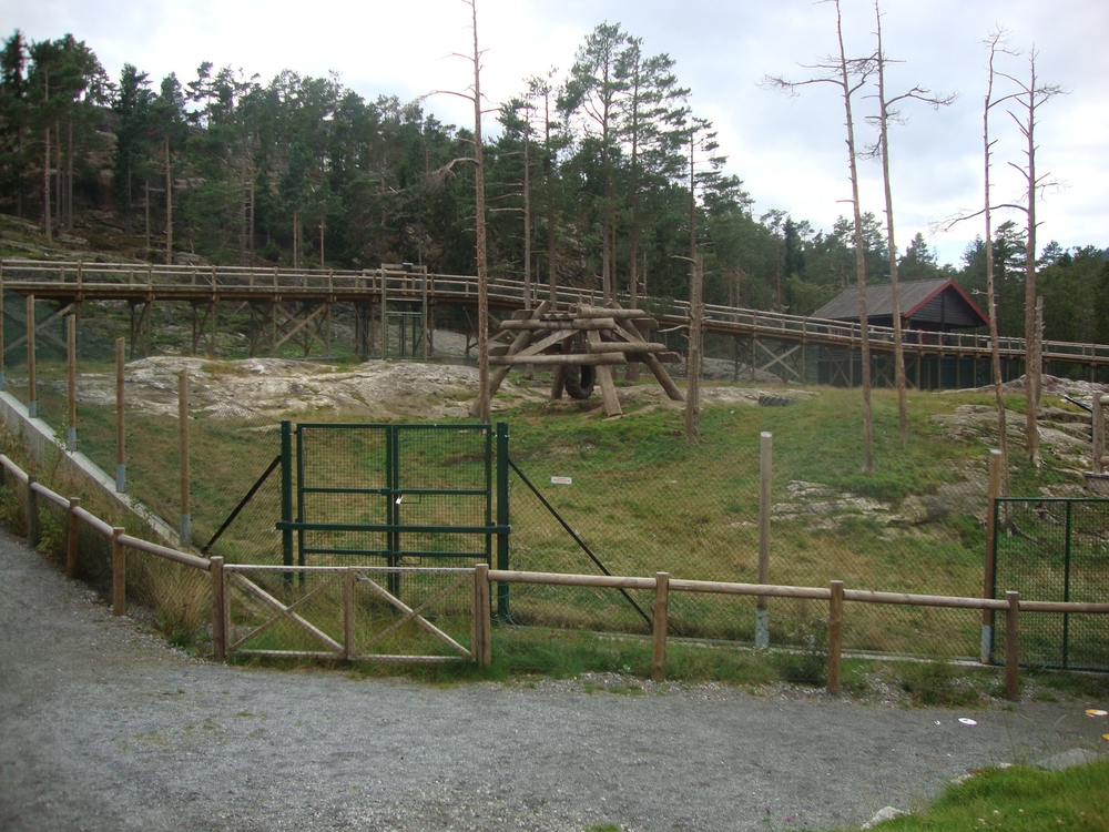 Норвегия, Мост за наблюдение на мечките
