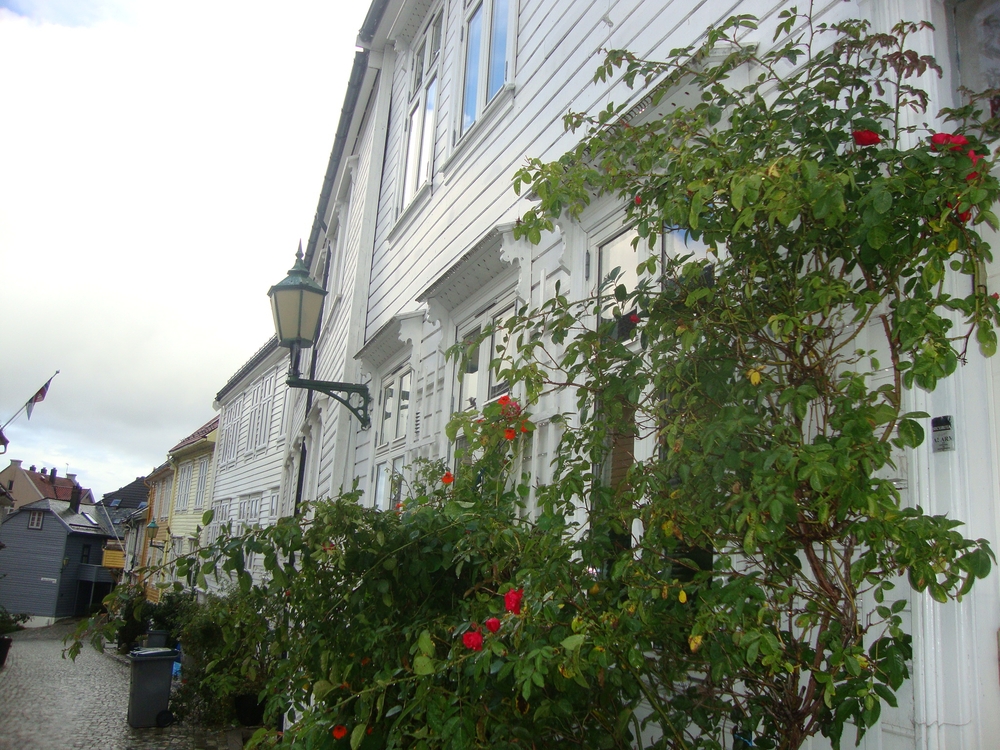 Норвегия, Берген, Пълзящи рози - по дома на Кай или на Герда?
