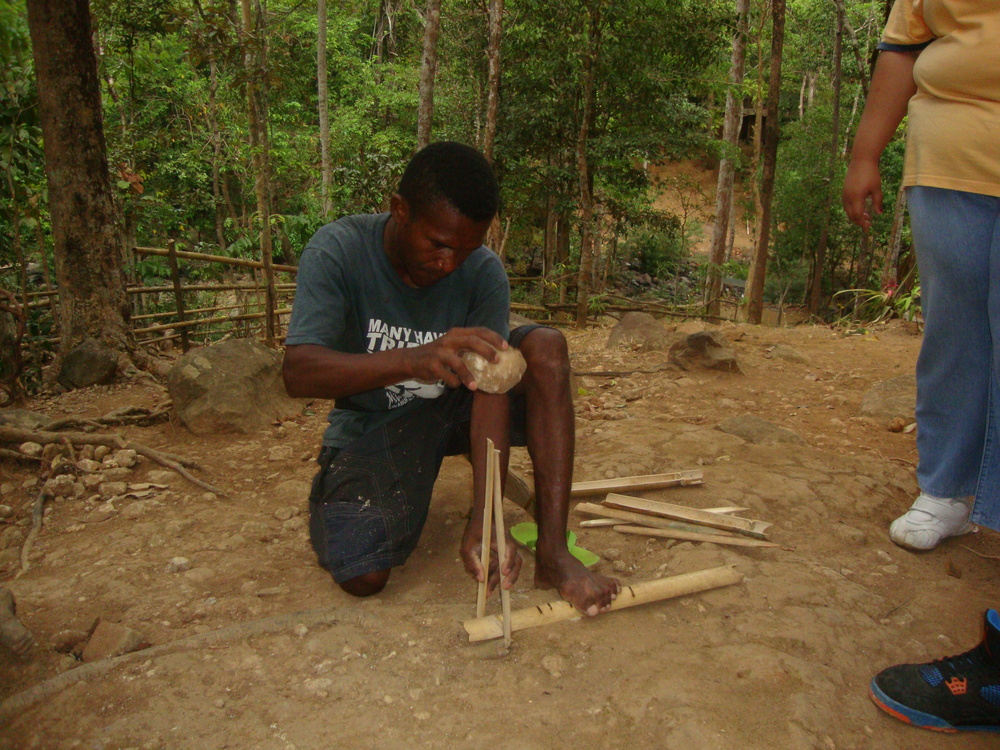 Филипини, бамбукът се обездвижва
