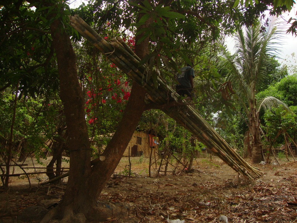 Филипини, бамбуков мост, закрепен към манговото дърво, Симсон слиза по моста

