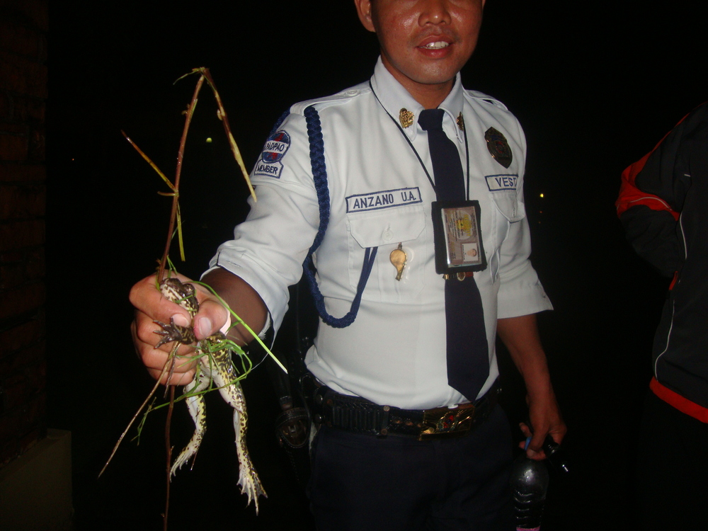 Филипини, жаба бик в ръката на охраната
