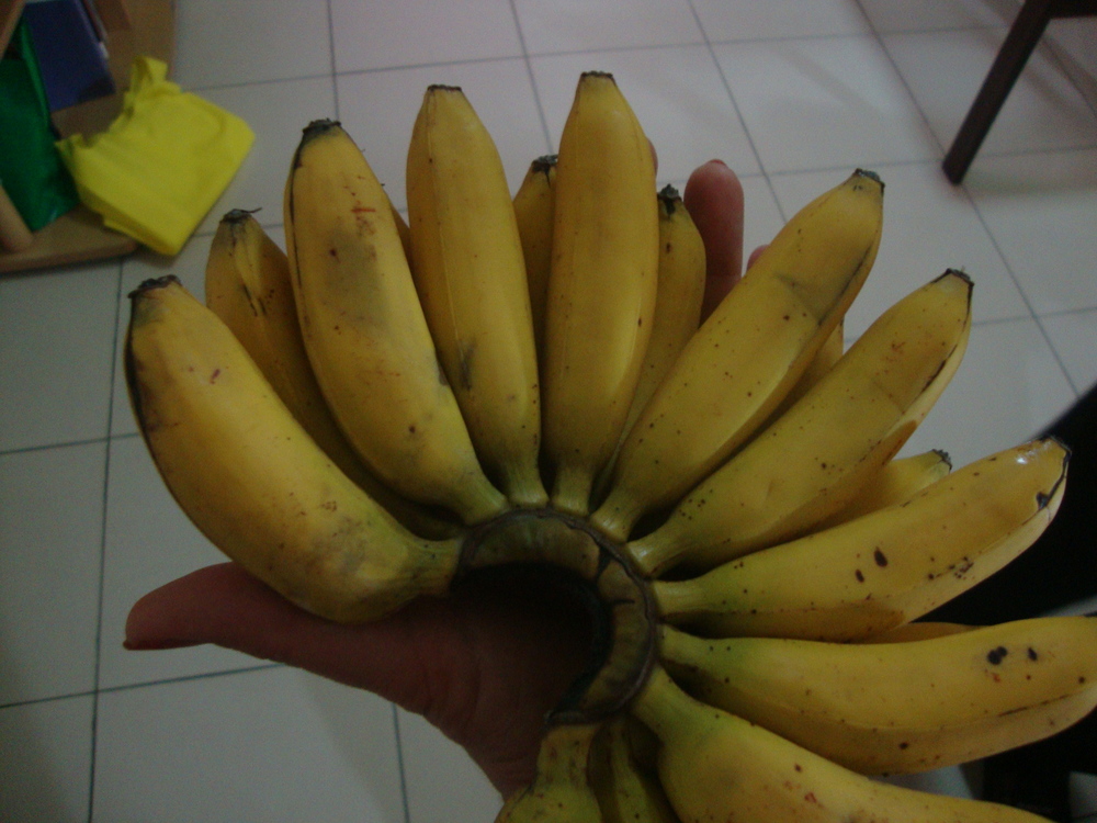 Филипините, банани "сеньорита"
