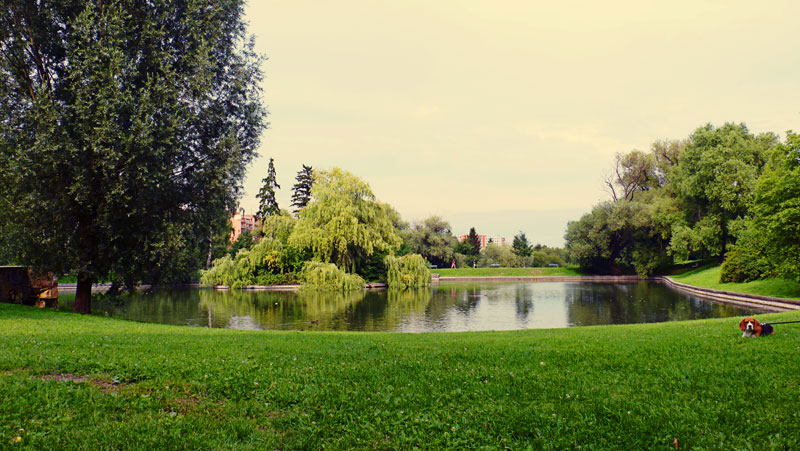 Чехия, Прага, Park u Břevnovského kláštera
