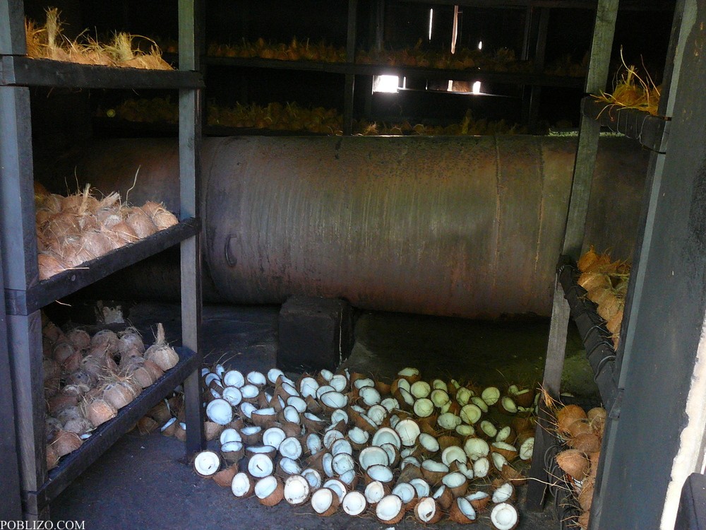 Сейшелите, Ла Диг, сушилня за кокоси
