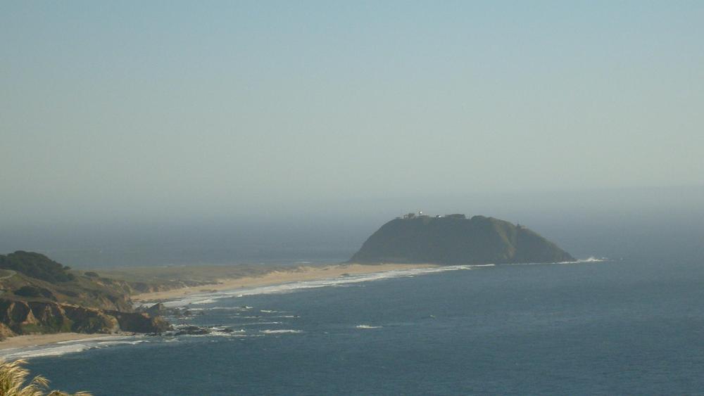 САЩ, Point Lobos, Big Sur
