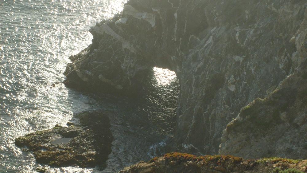 САЩ, Point Lobos, Big Sur
