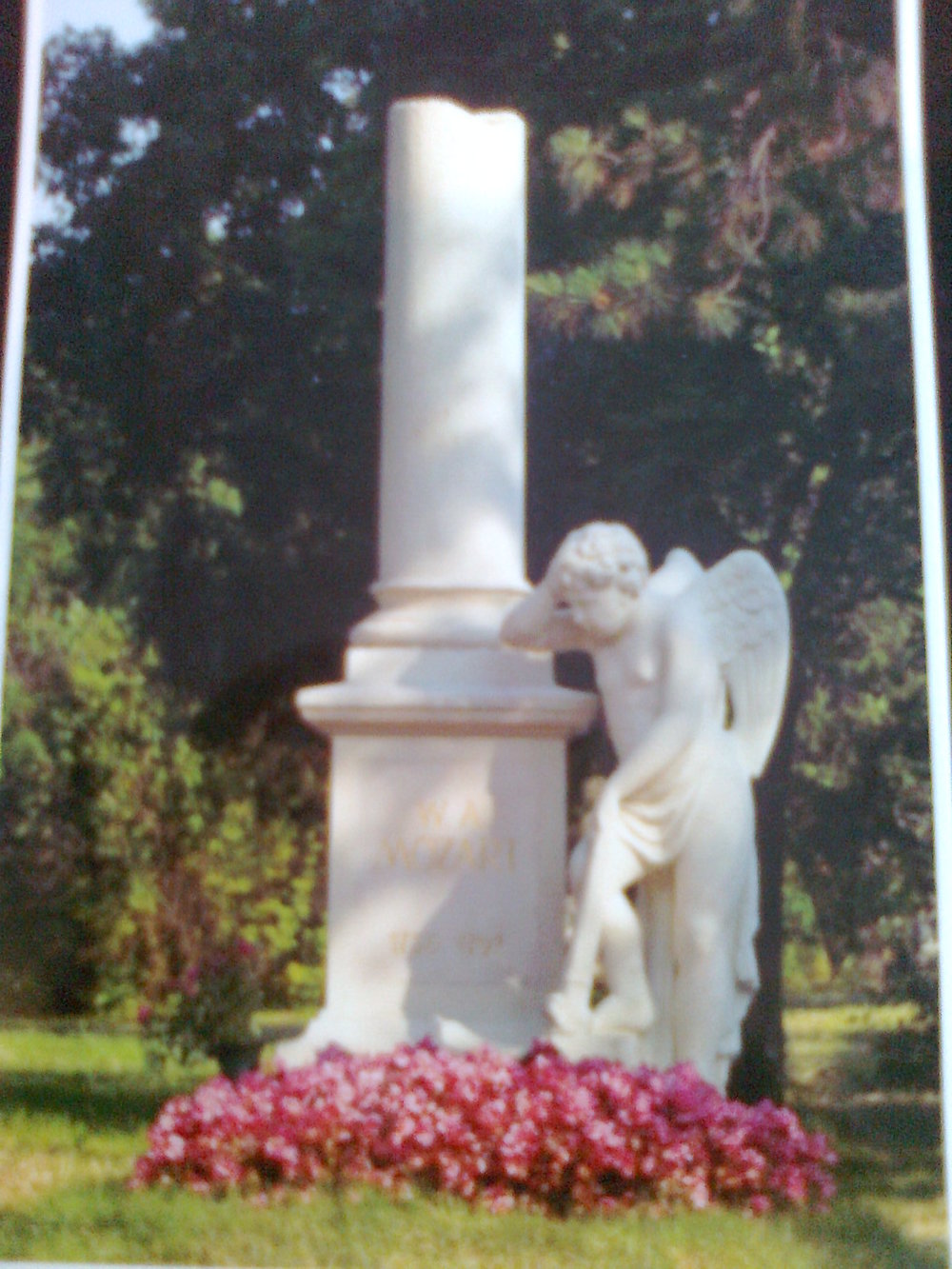 Виена,Вместо гроб на Моцарт
