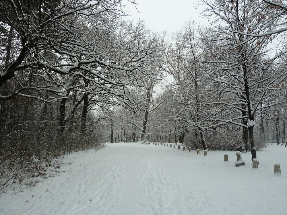 Зимата в парка
