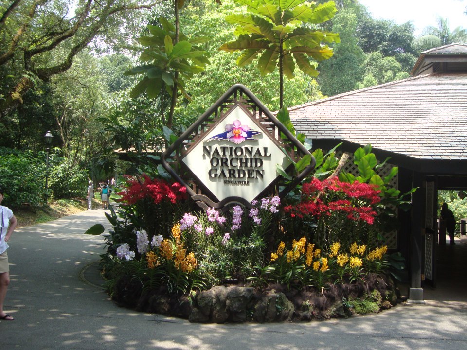 Сингапур, Националната градина на орхидеите
