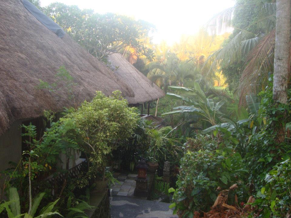 Бали
