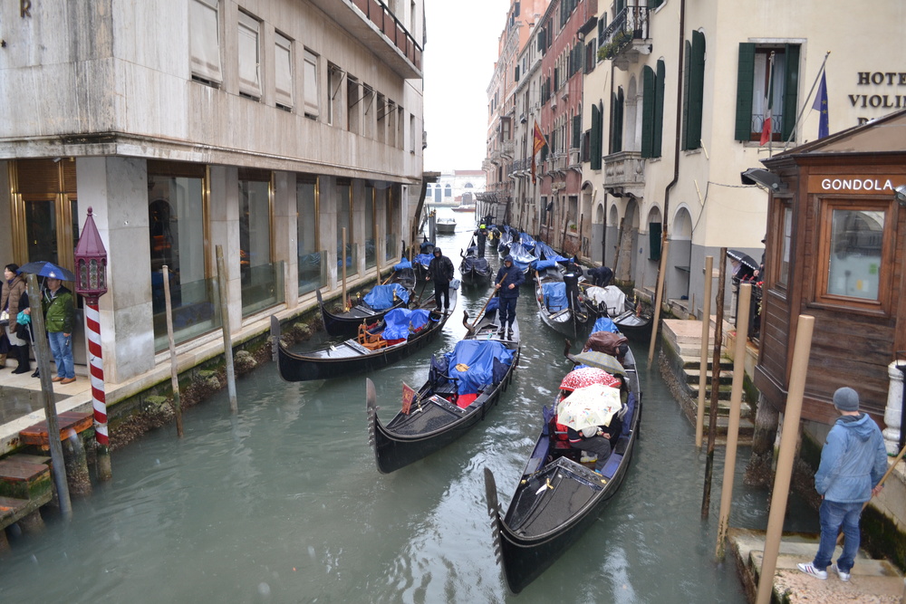 Венеция, Гондолиерите са на линия, въпреки дъждовното време
