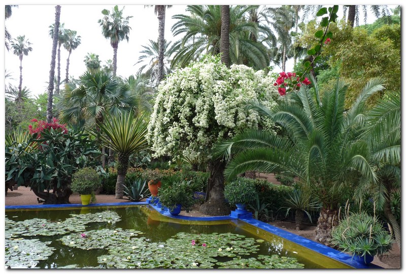 Мароко, ботаническите градини Мажорел
