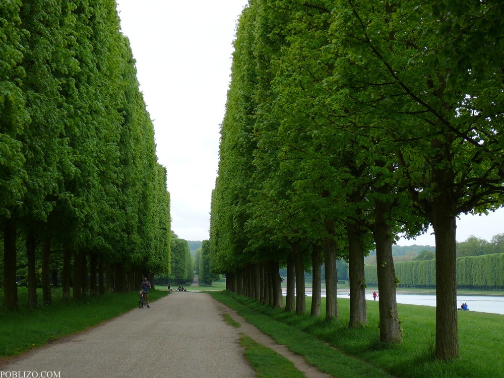 Алея в парка на замъка Версай
