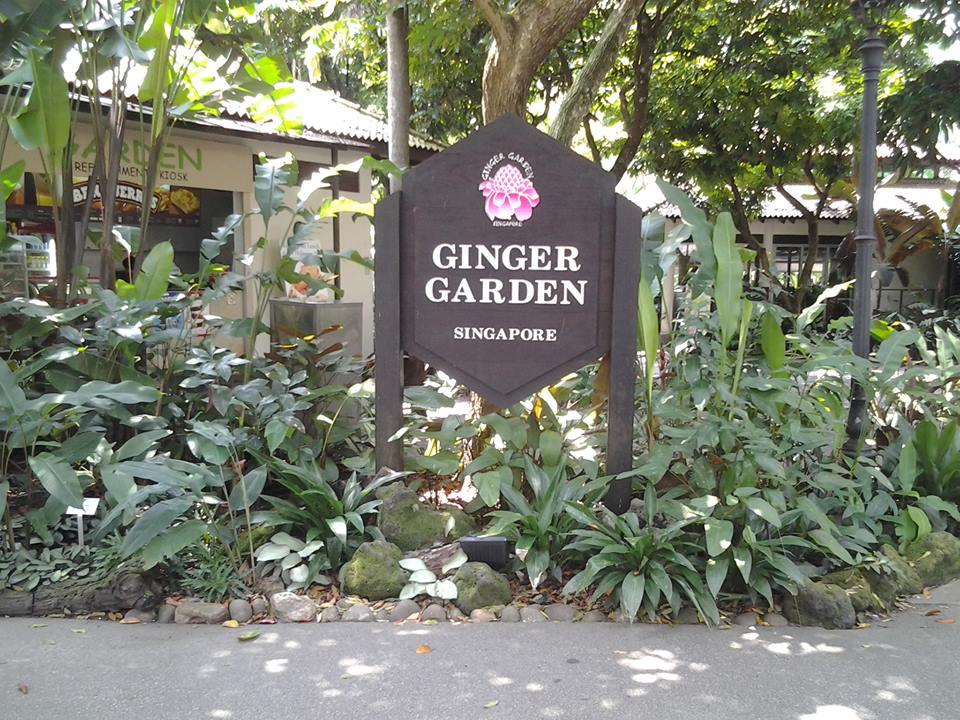 Сингапур, Пред Ginger Garden
