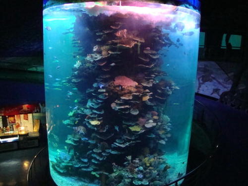 Най-големият в света цилиндричен аквариум