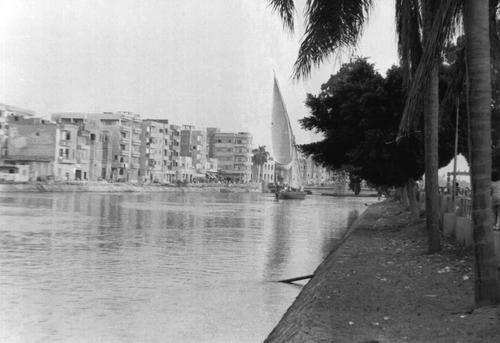 Каналът в град Шибин Ел-Ком