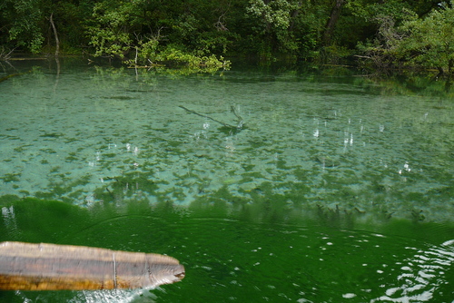 Изворите на Охридското езеро