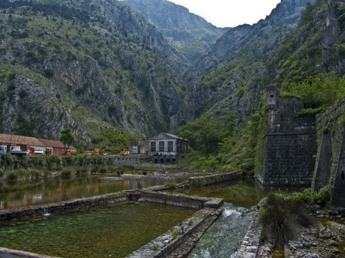 Черна гора
