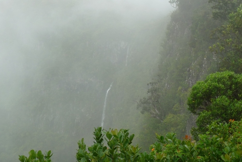 Водопад в националния парк Black River Gorges